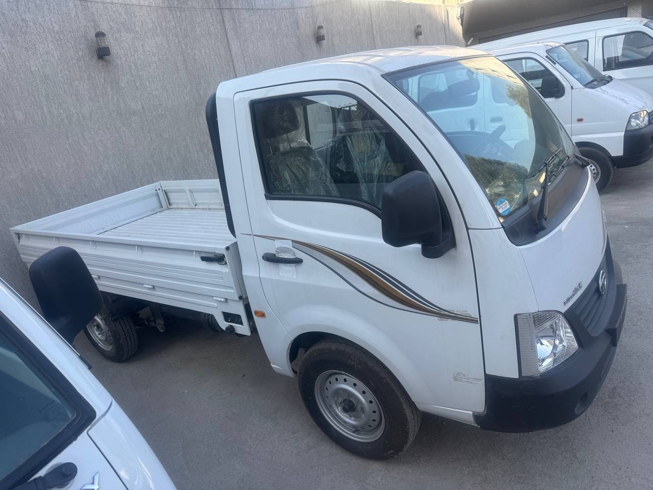 Tata 10 mini truck