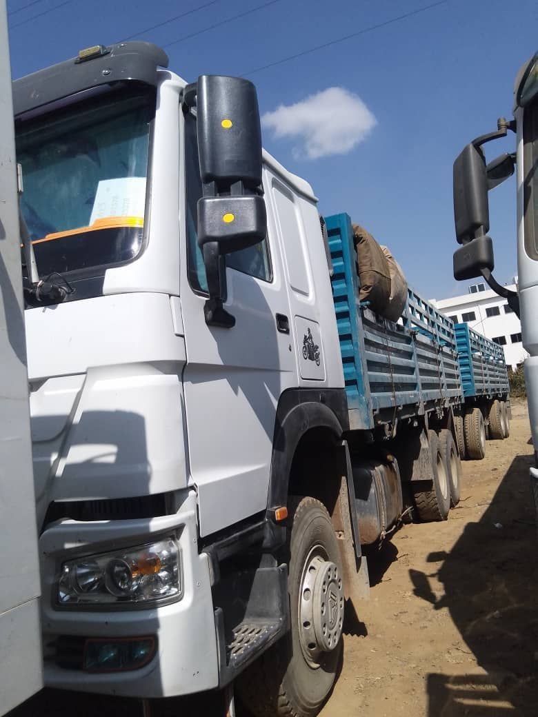 Sino casoni 2024 - Image