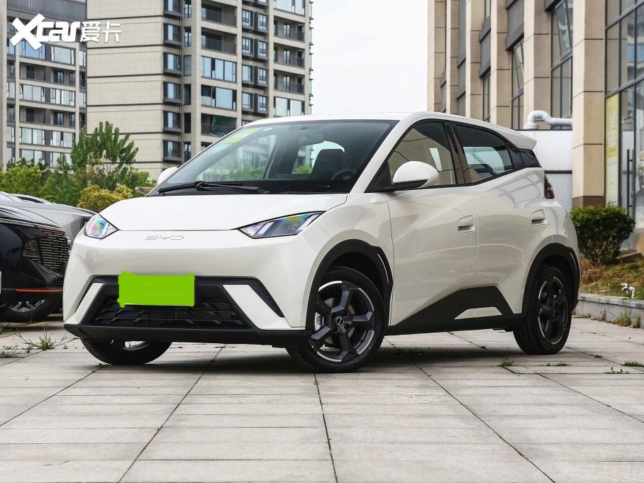 BYD Segual-2025 for rent - Image