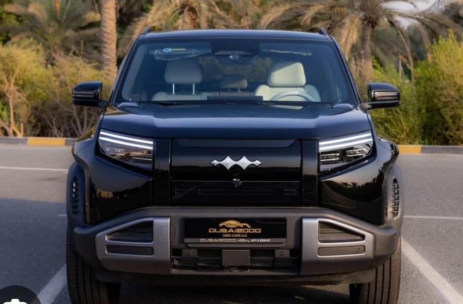 BYD LEOPARD 3 605 KM