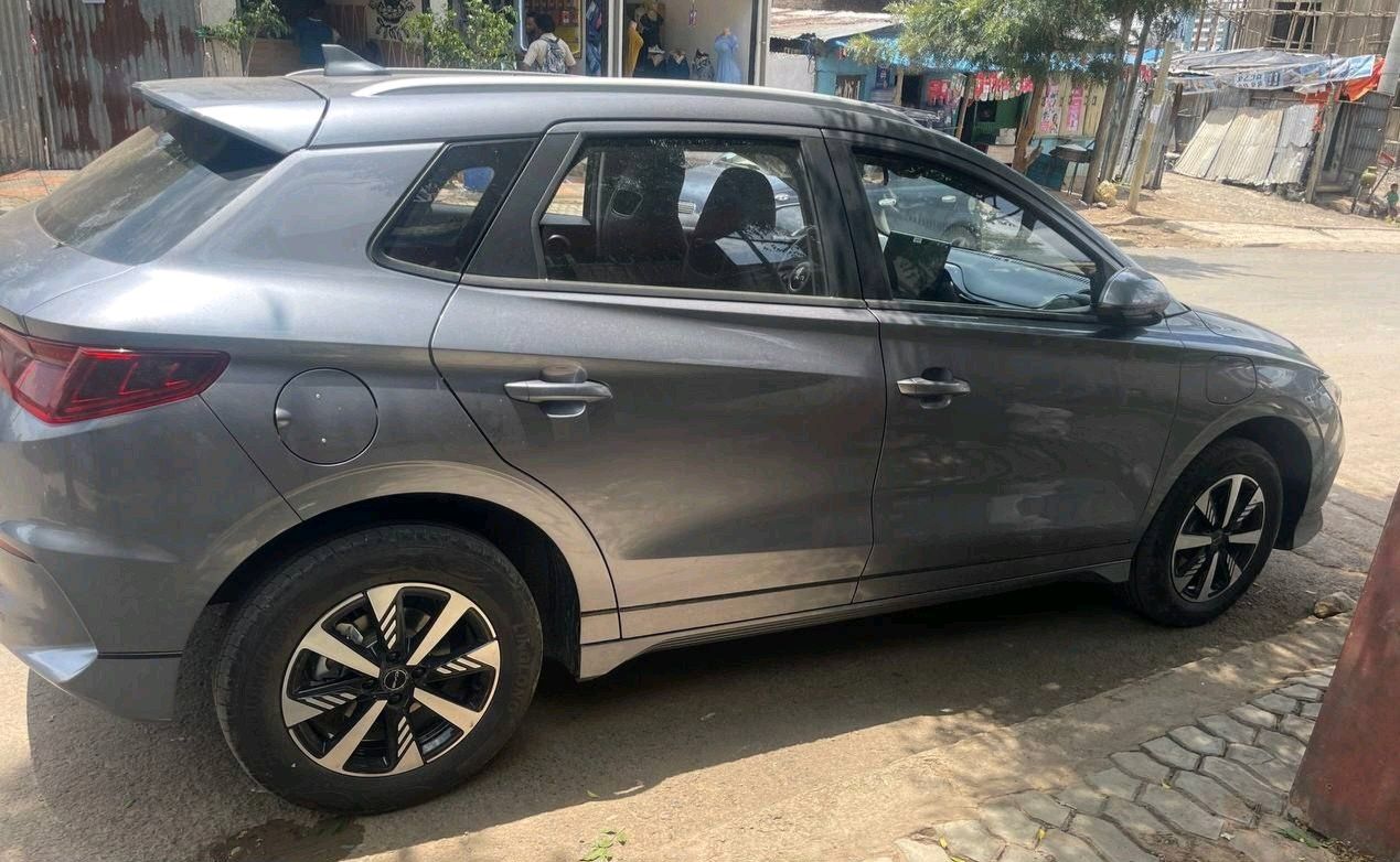 BYD e2,2024,ELECTRIC,BRAND NEW CAR!! - Image