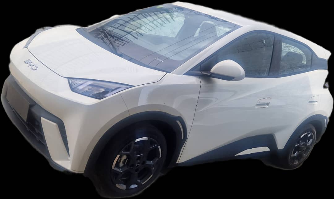 BYD SEGUAL 2025