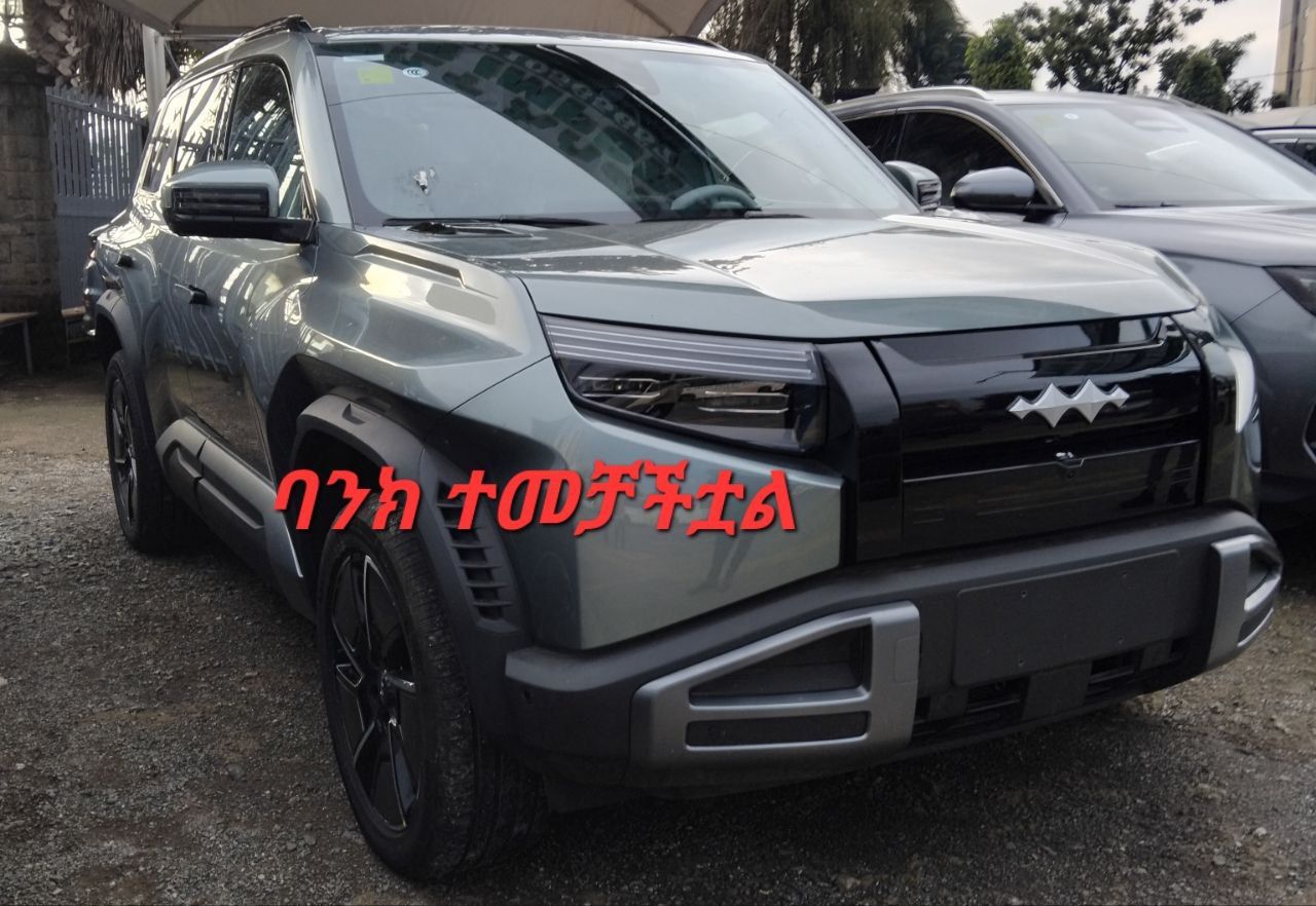 BYD LEOPARD 3