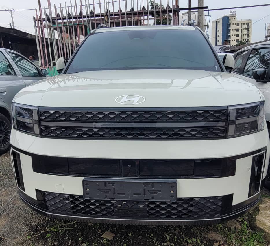 2024 Hyundai Santafe Inbilt Hybrid - Image