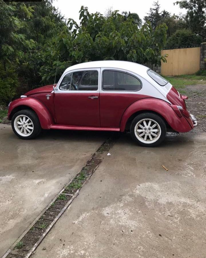 Volkswagen Beetle For Real Buyers. 1970