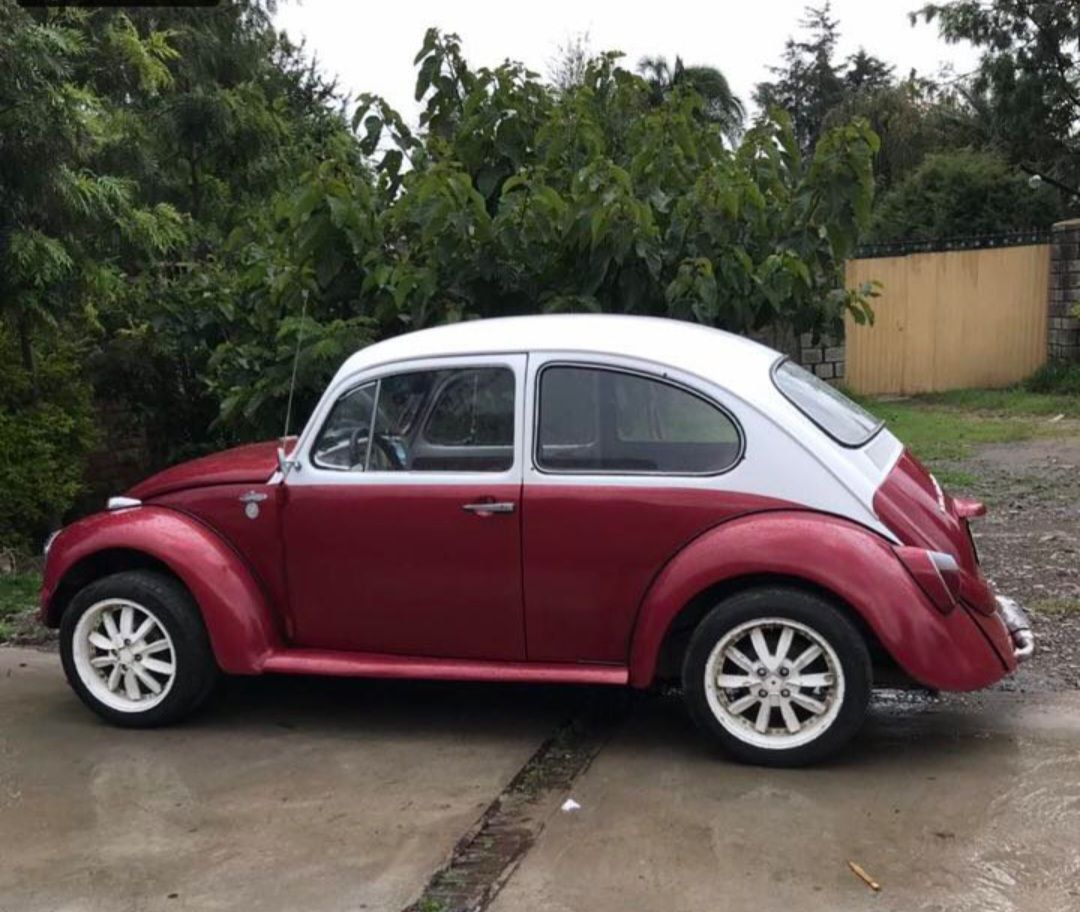 Volkswagen Beetle For Real Buyers. 1970 - Image