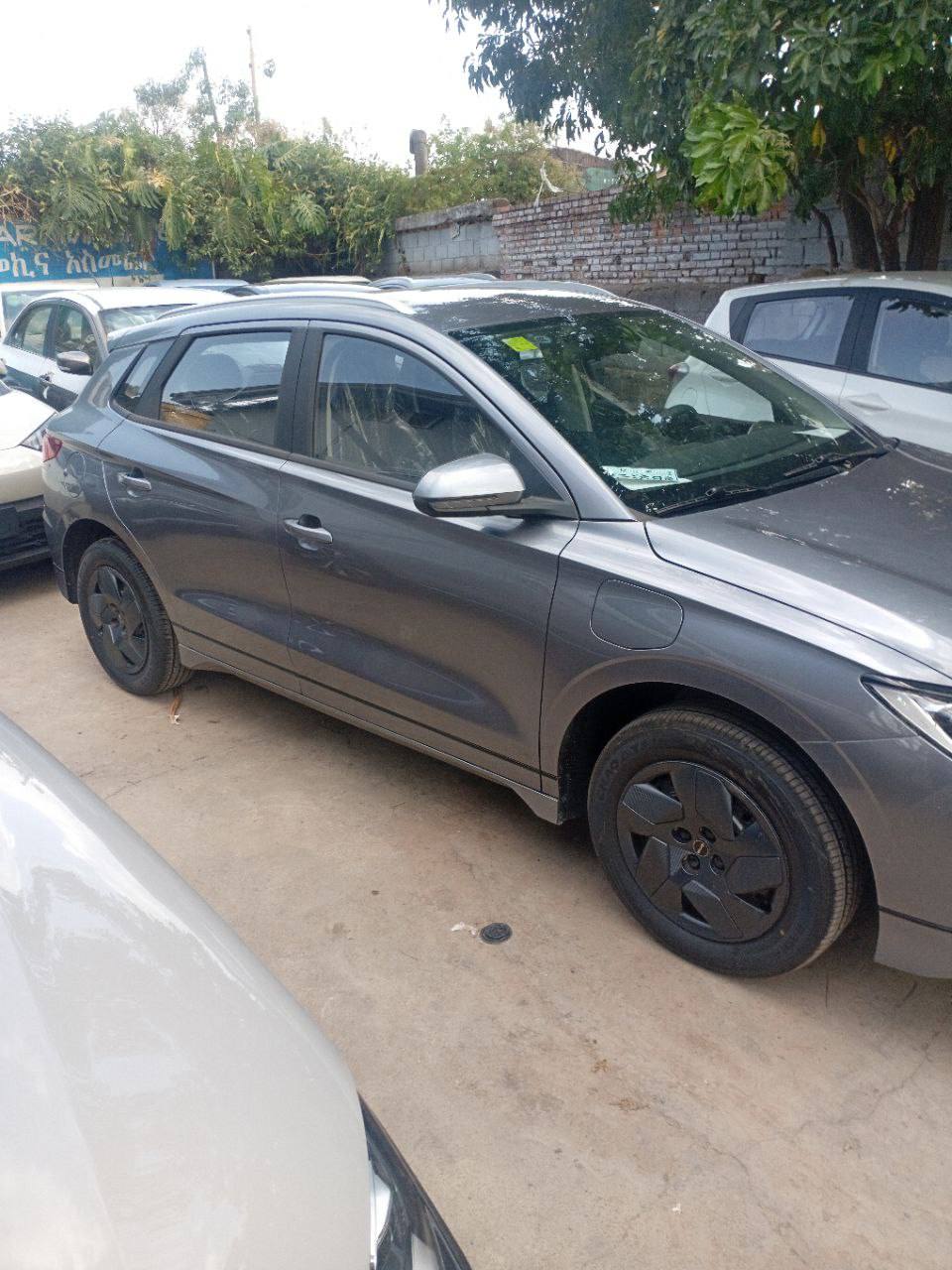 TIME CAR IMPORTER  BYD - Image