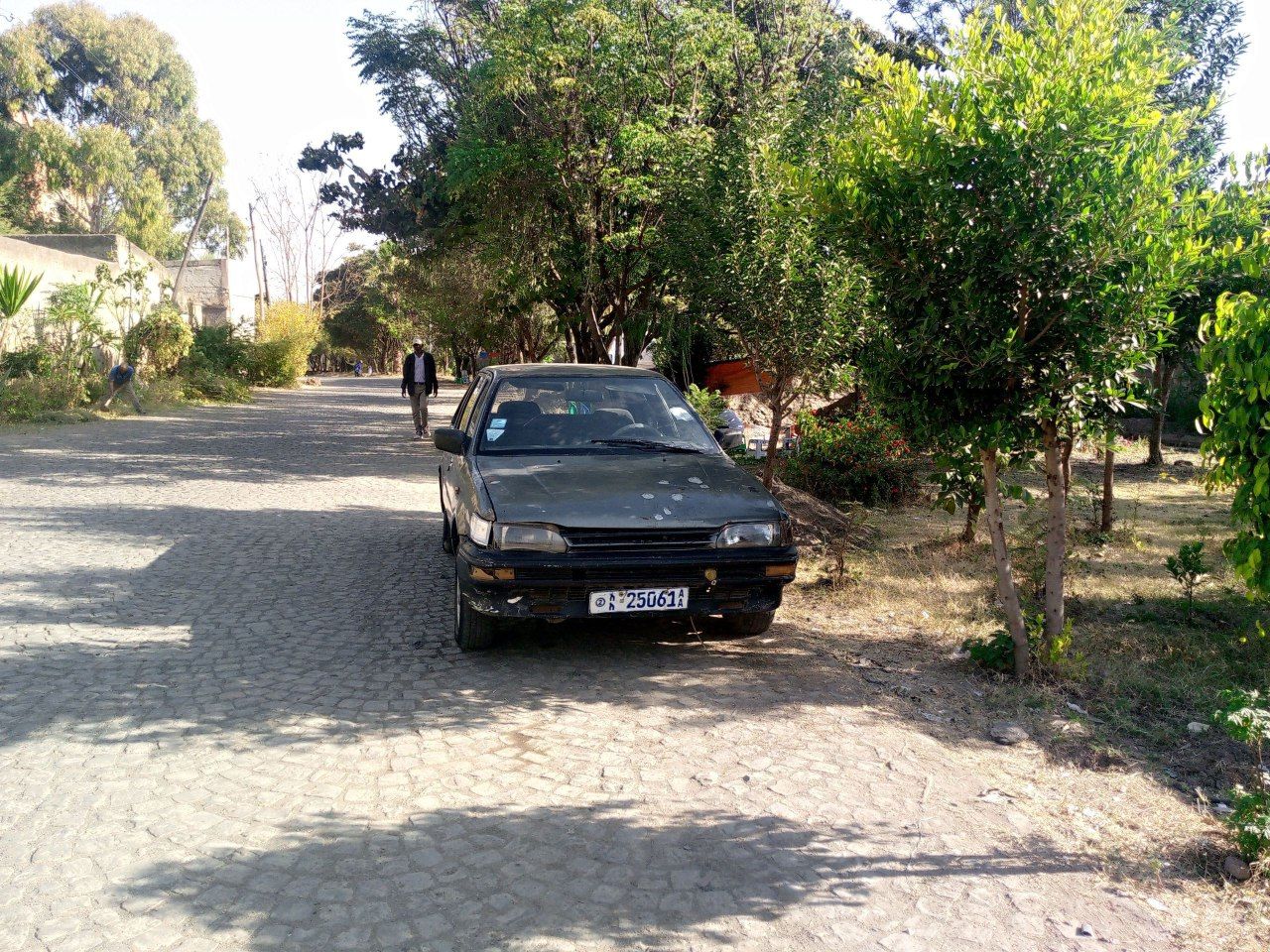 Nissan Sunny - Image