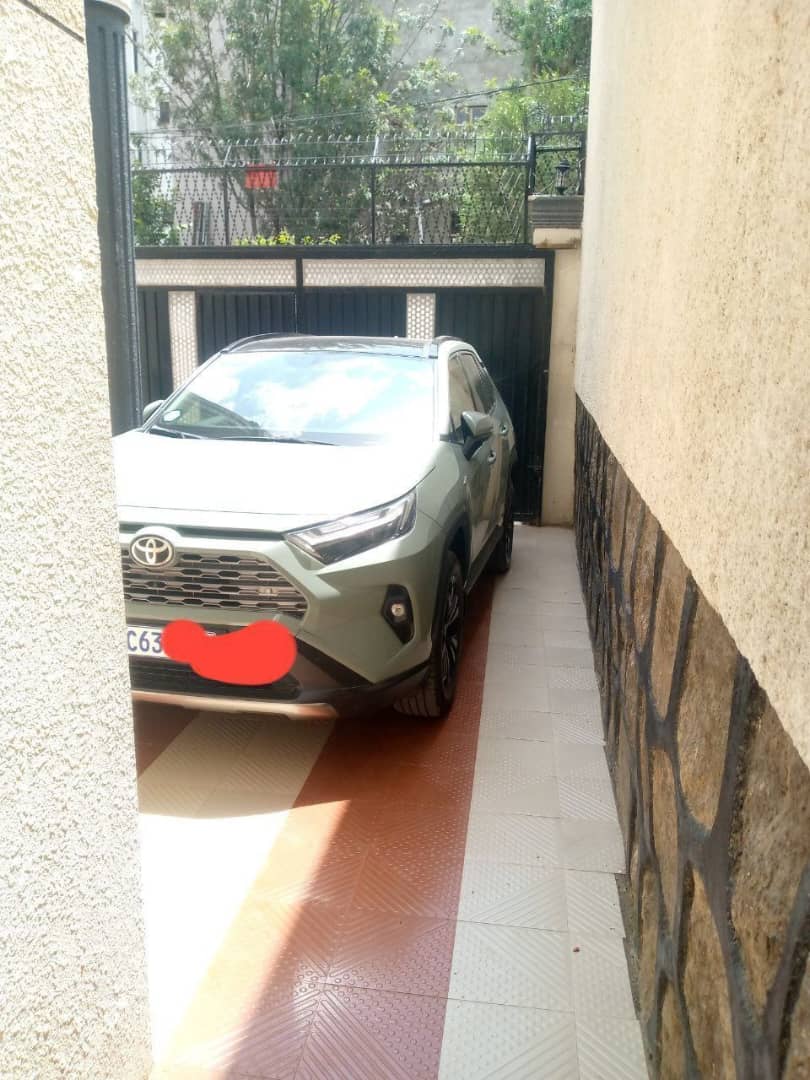 Toyota Rav4 Hybrid - Image