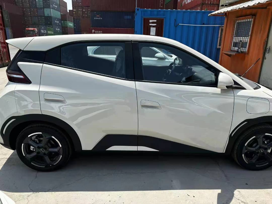 BYD-seagull 2025