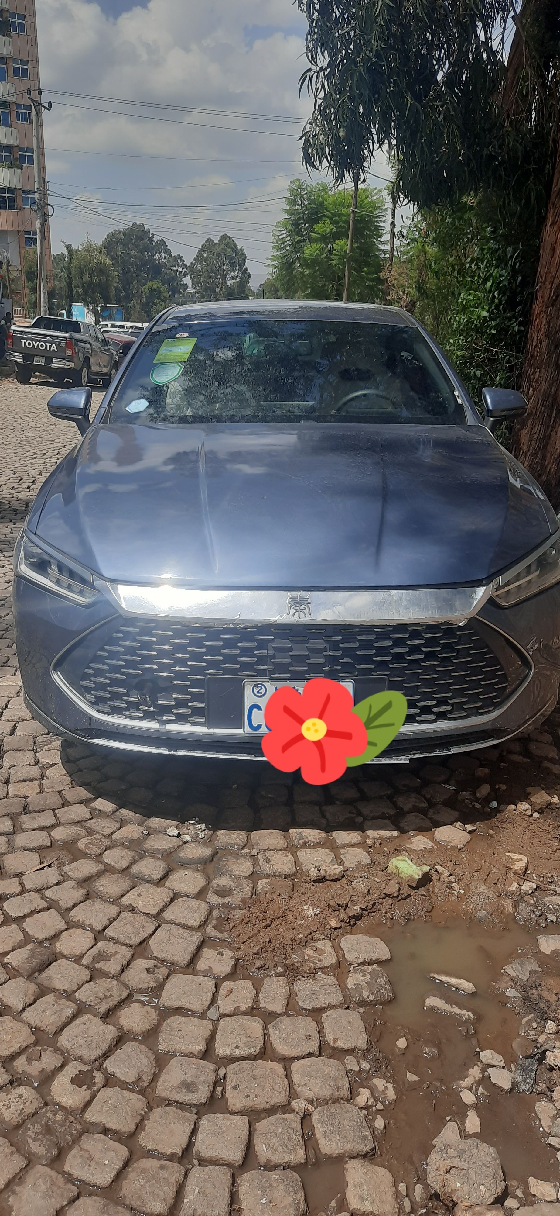 BYD YUANPLUS - Image