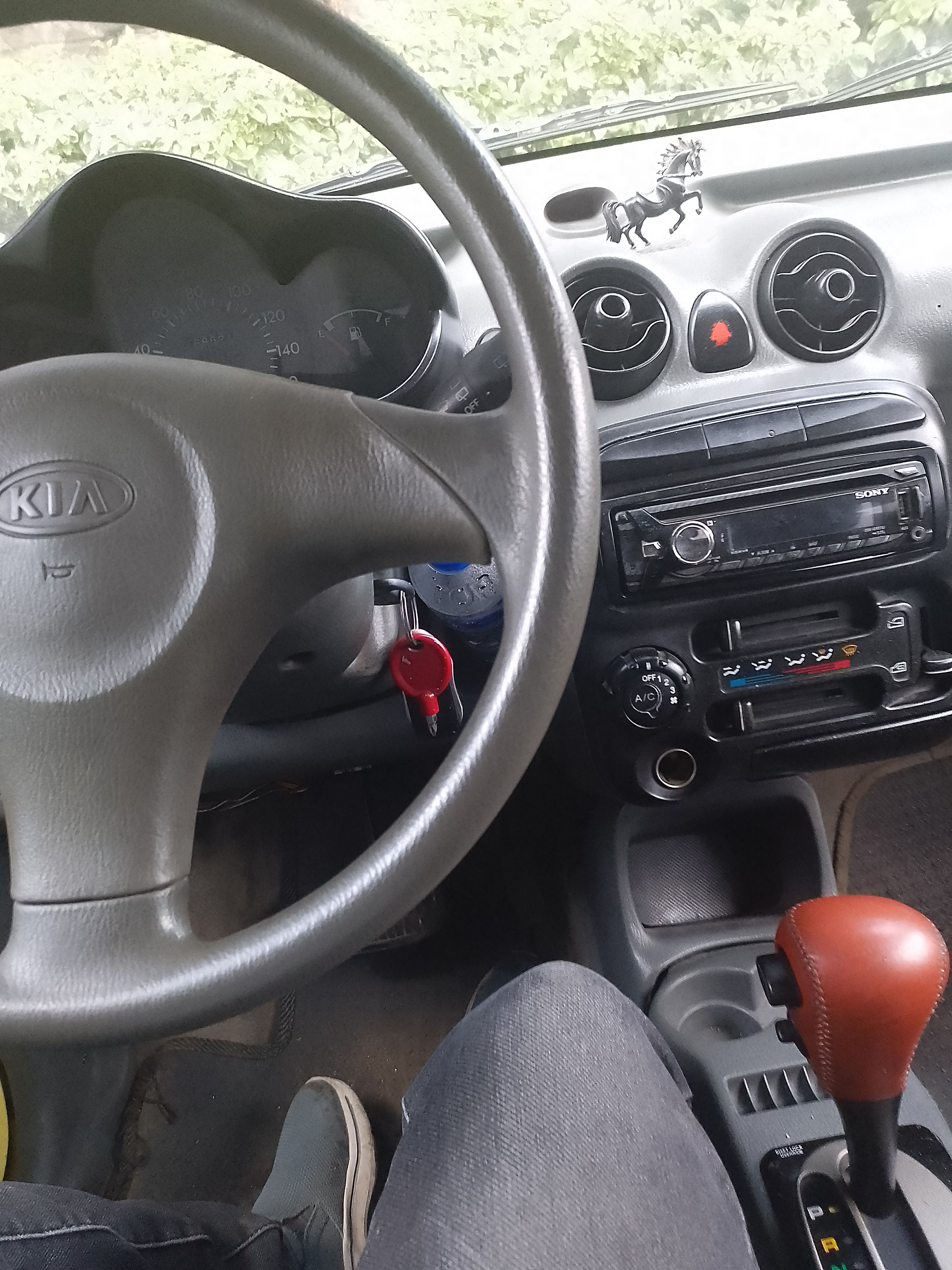 KIA, VISTO  - Image