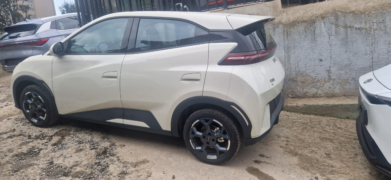 BYD SEGUL 2025