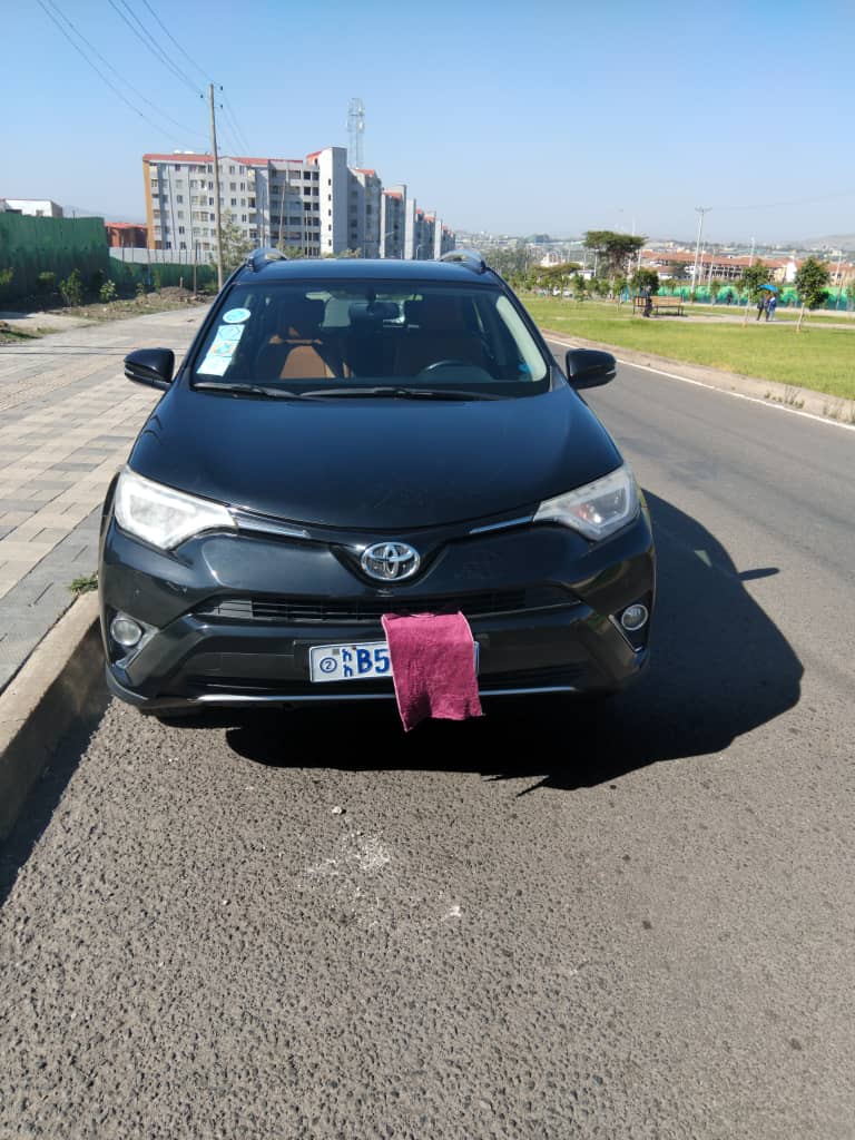 Toyota RAV4 2018 Diplomat Car - Image