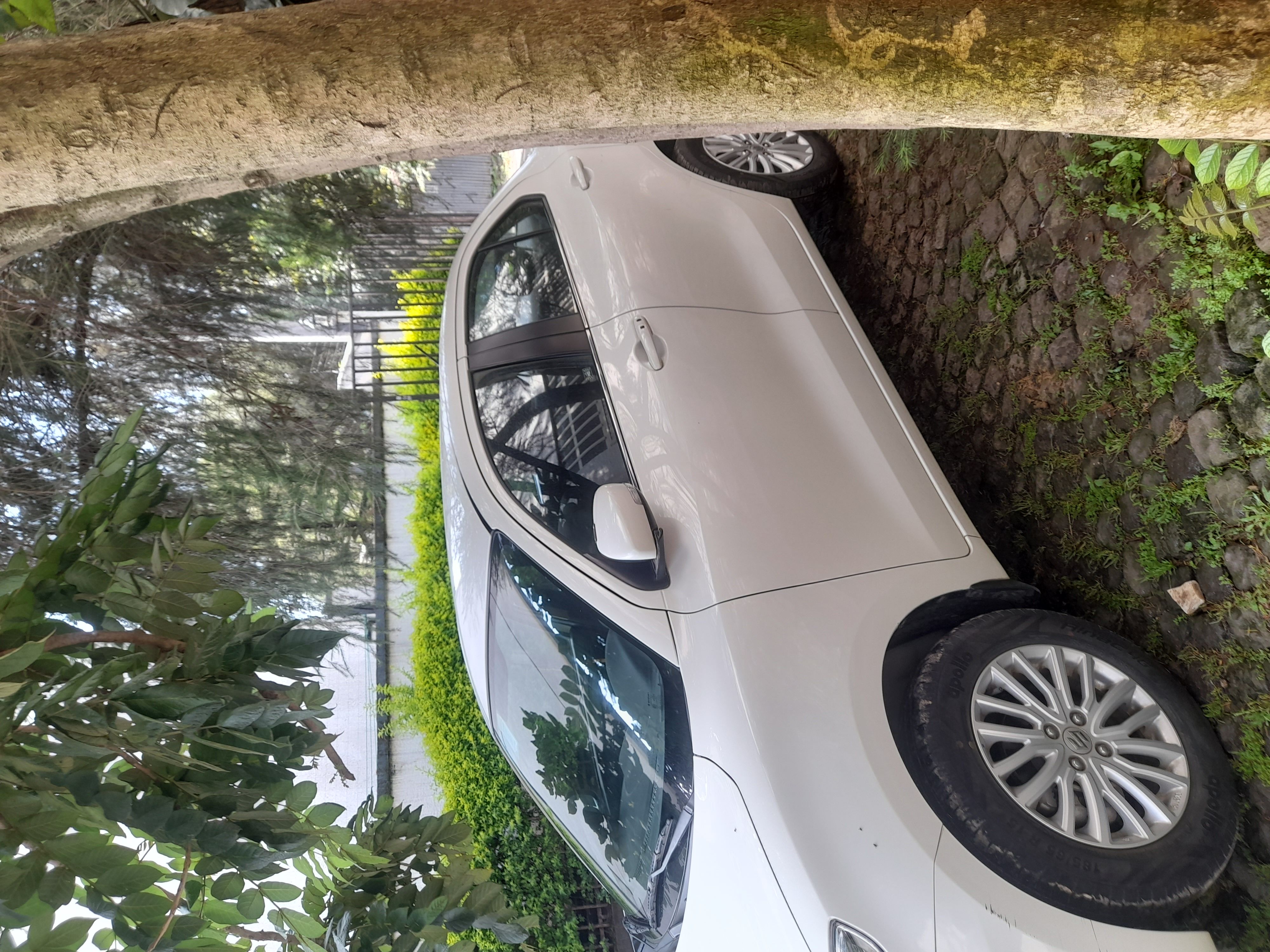 Suzuki Desire - Image