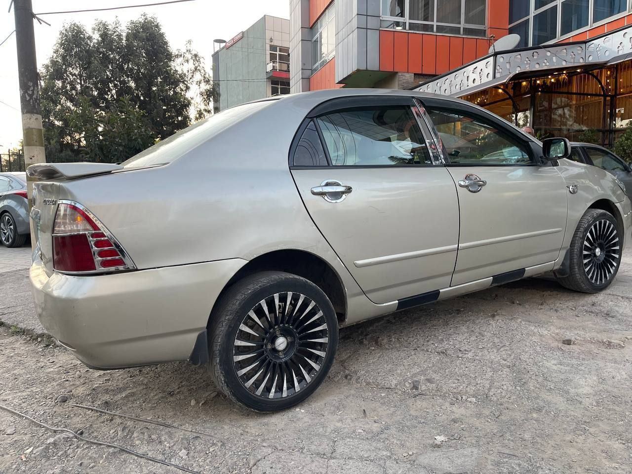 corolla - Image