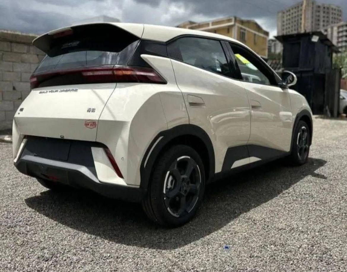 BYD Seagull 2025 Model - Image