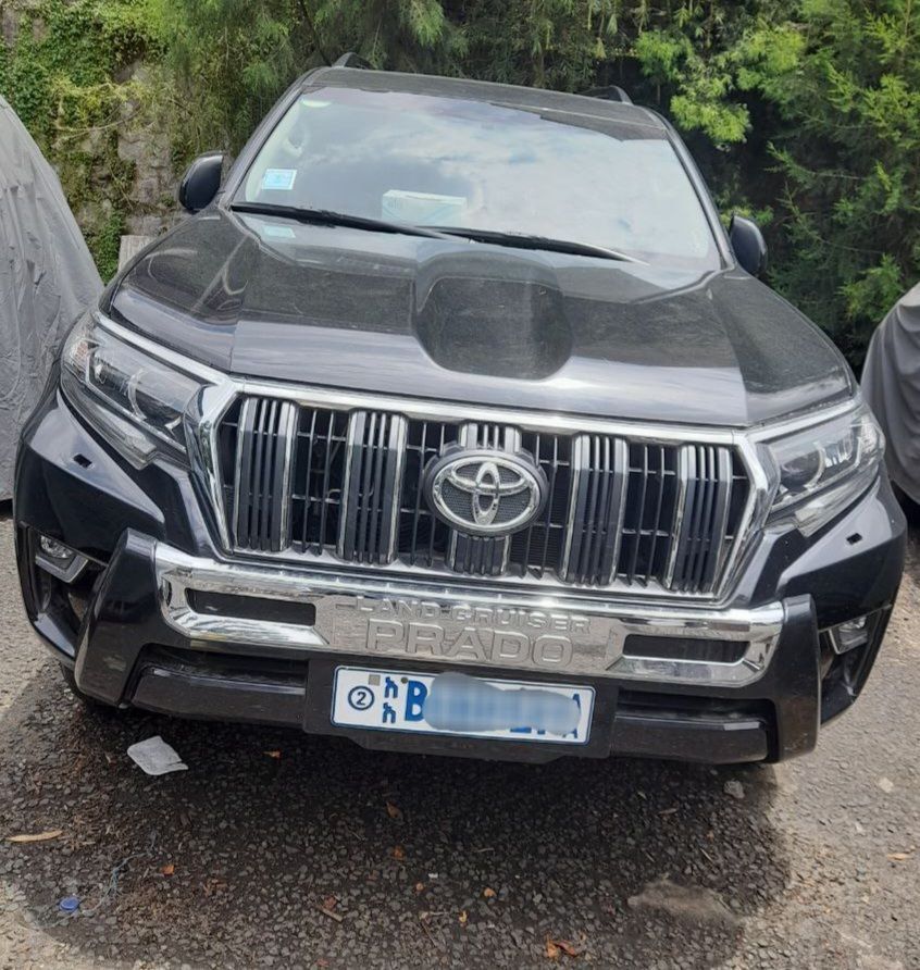 2019 Prado