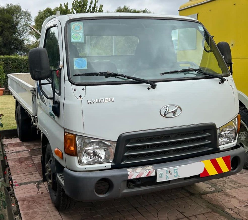 Hyundai HD65 (3 ton)