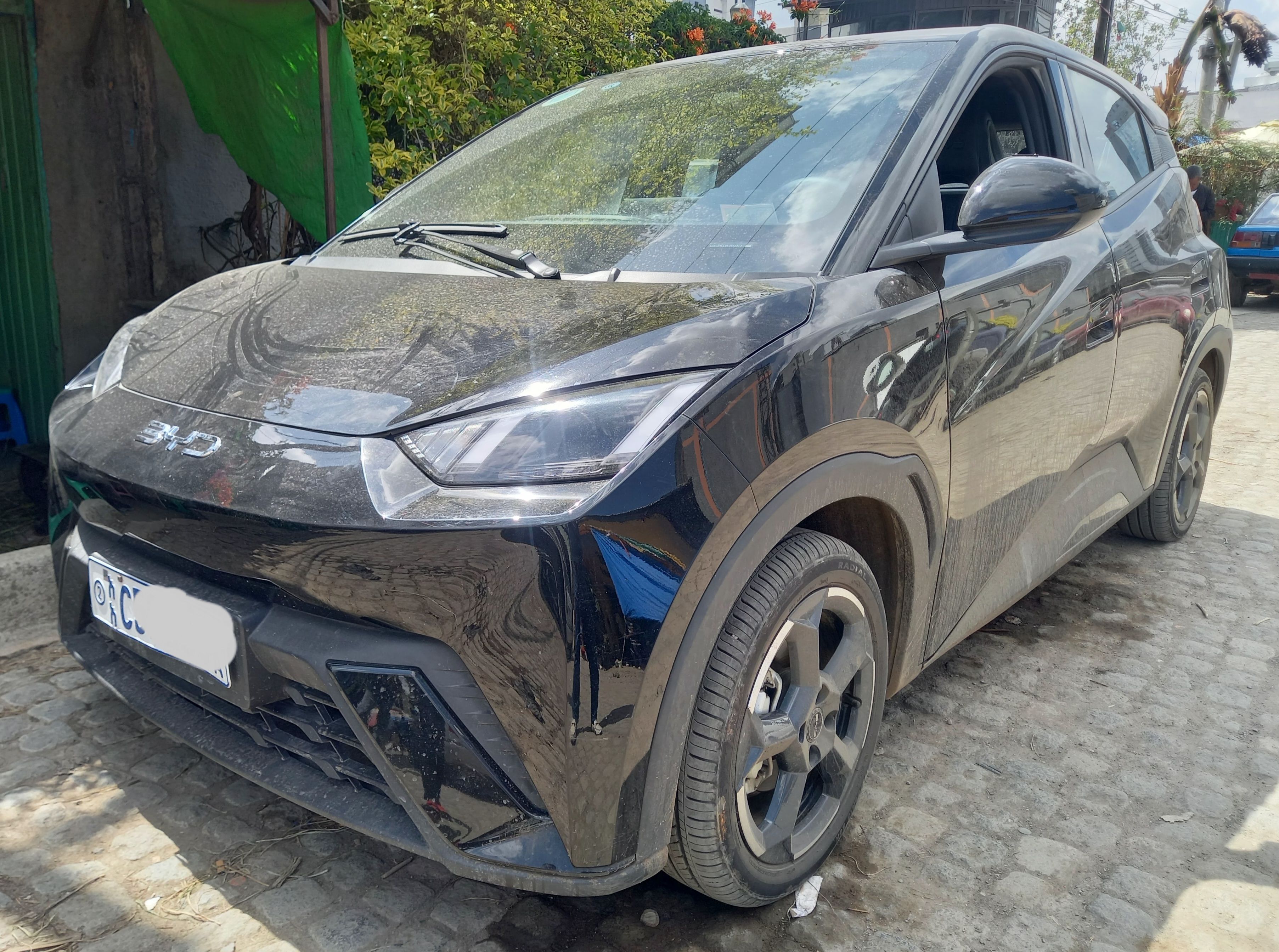 BYD Segull (Real 2024)