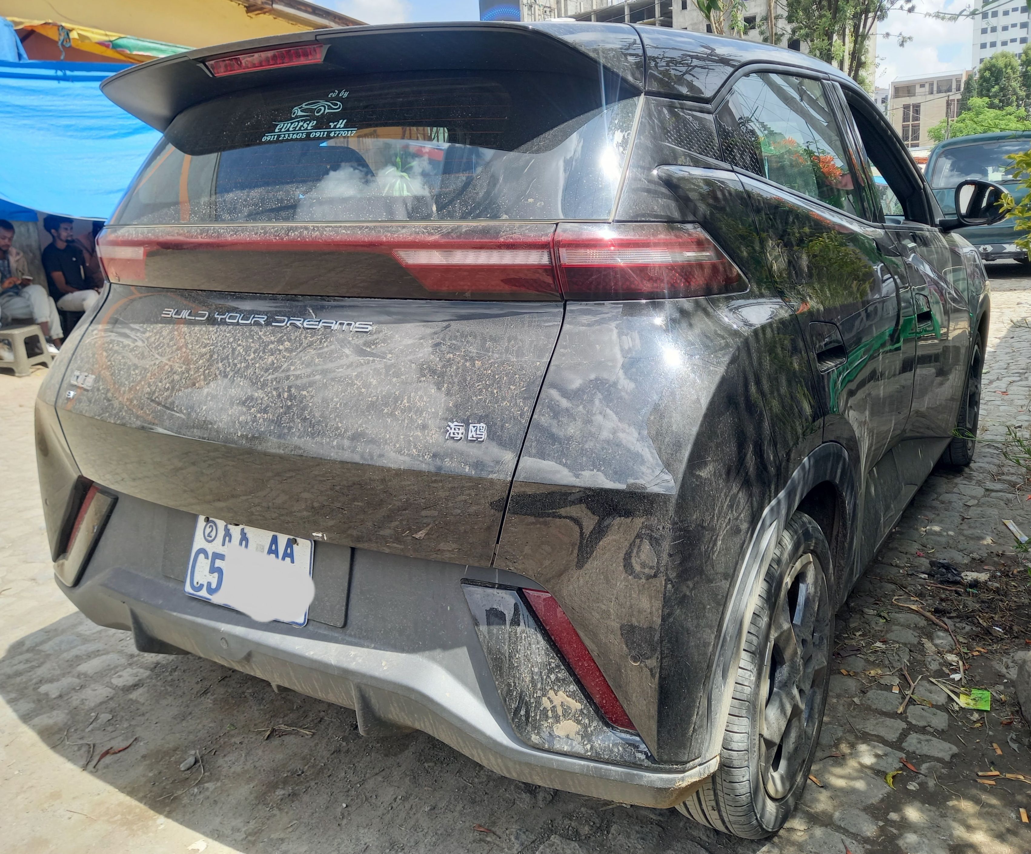 BYD Segull (Real 2024) - Image