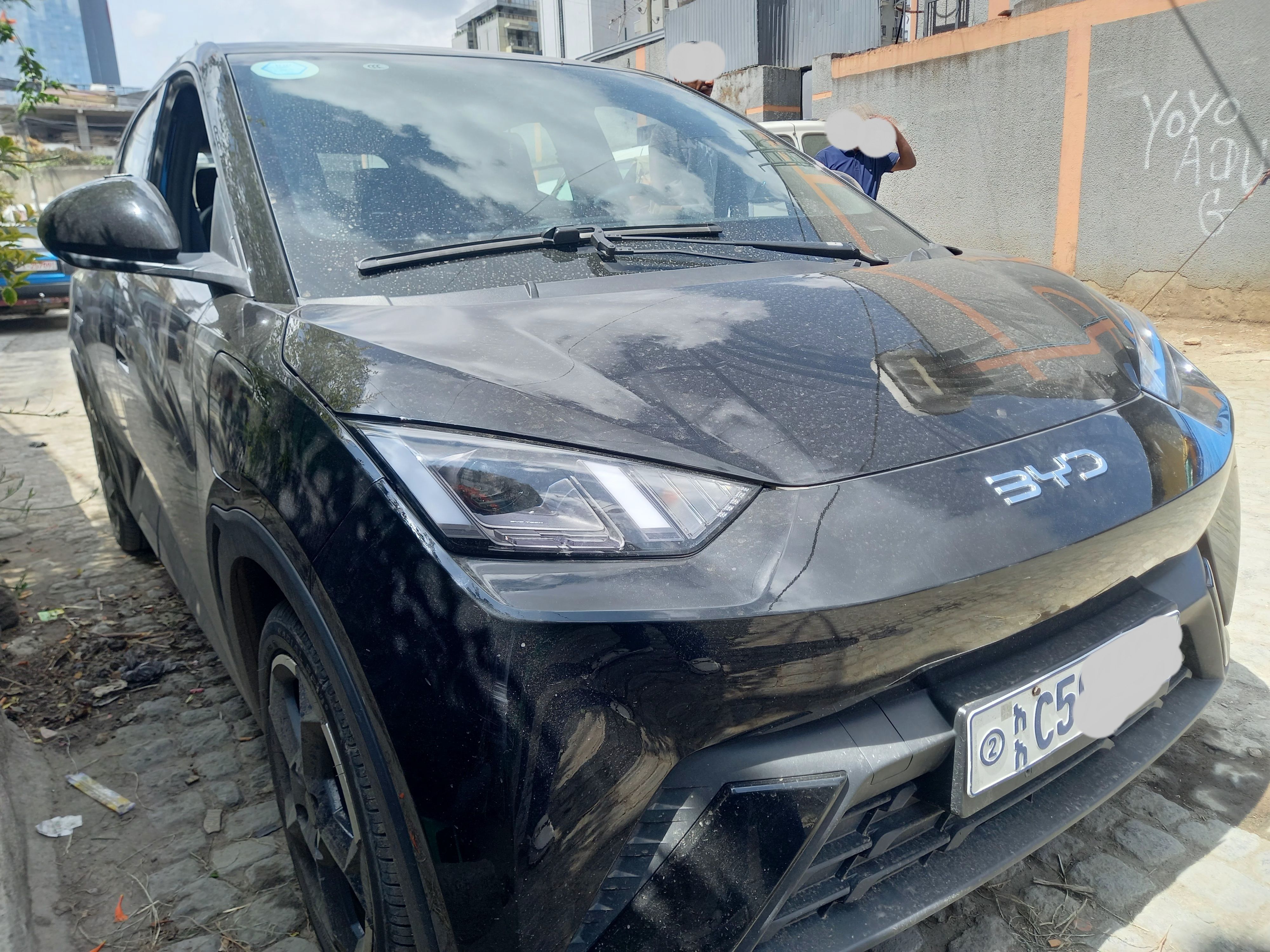 BYD Segull (Real 2024) - Image