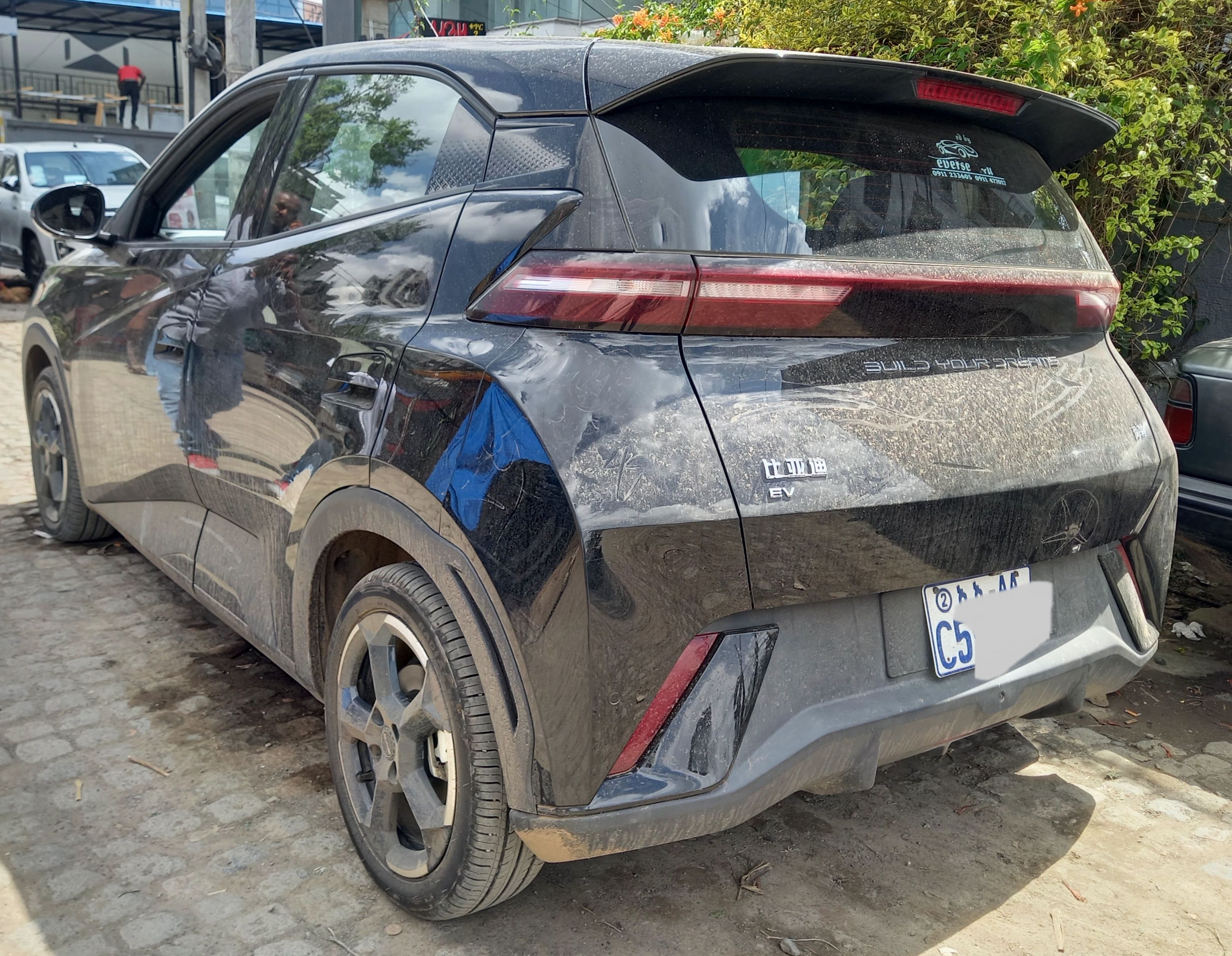 BYD Segull (Real 2024) - Image