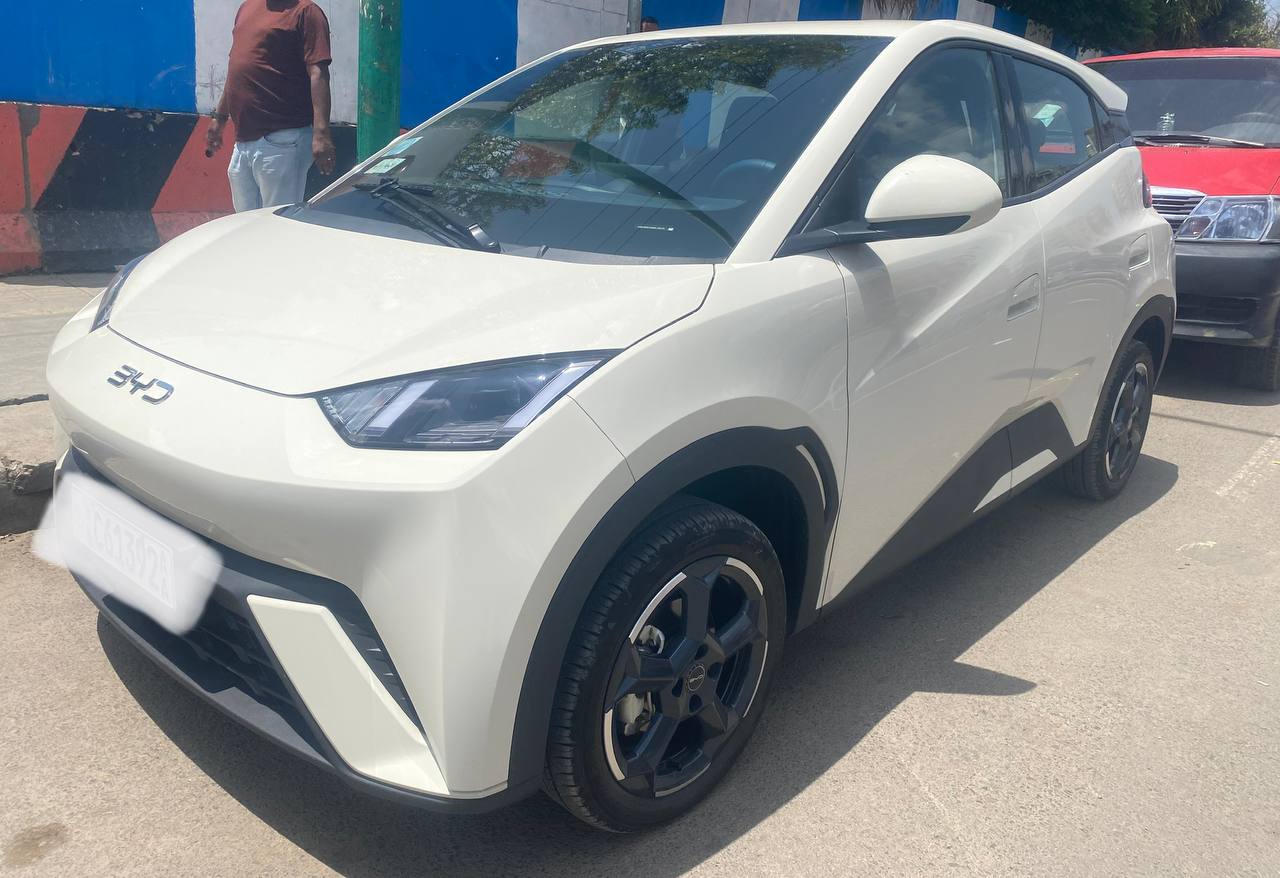 BYD Segull - Image