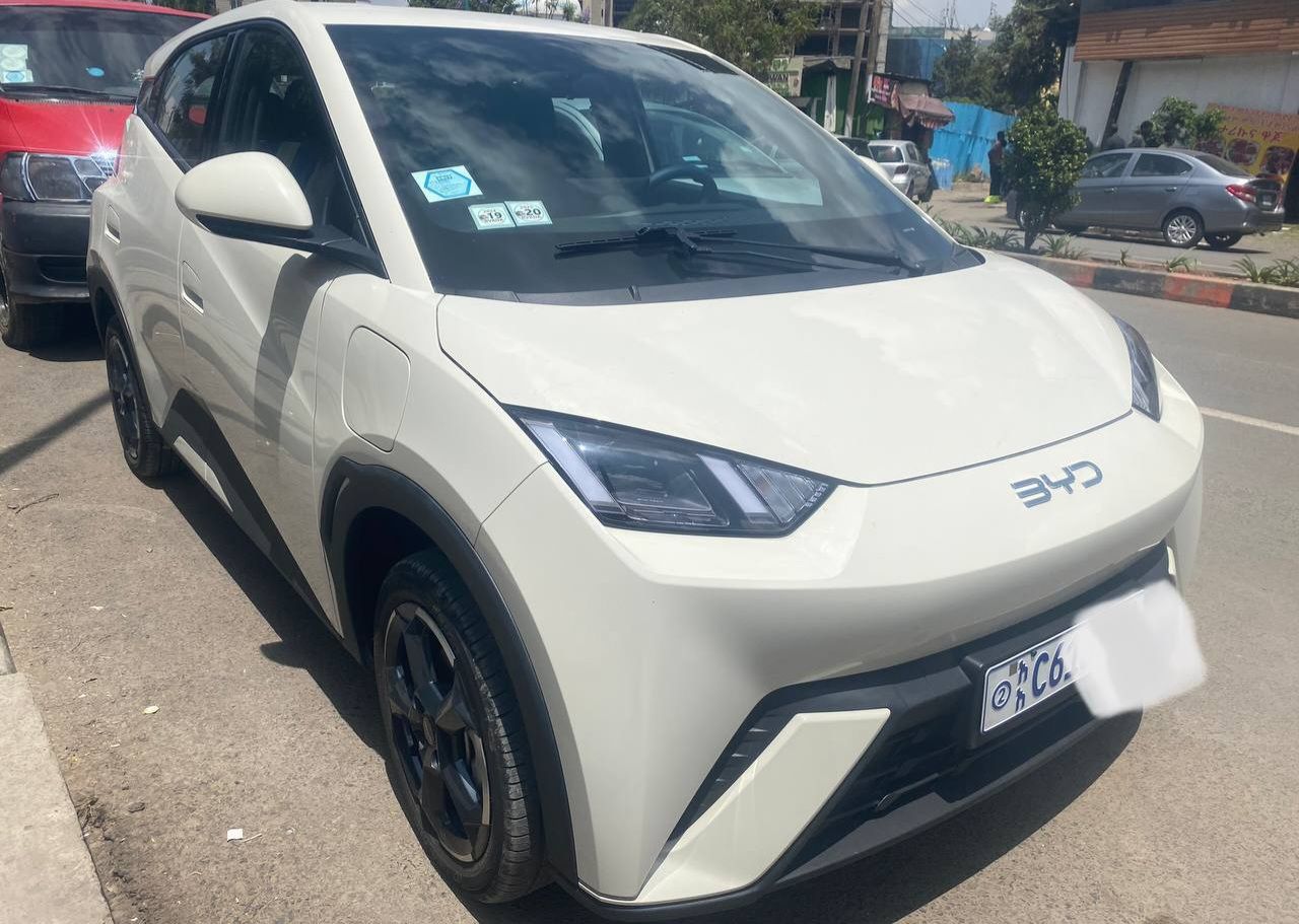 BYD Segull - Image