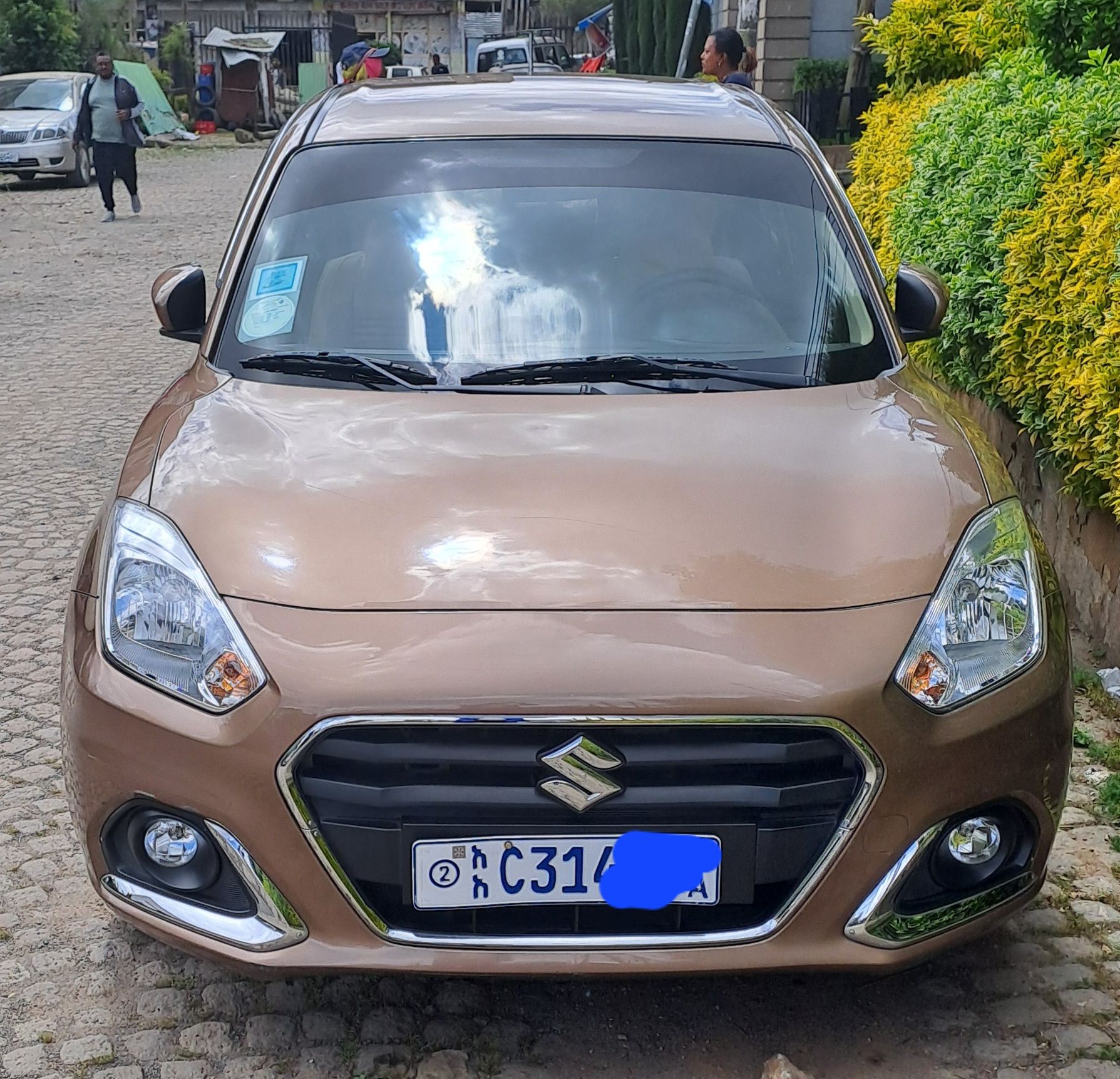 Suzuki Dzier 2021 - Image