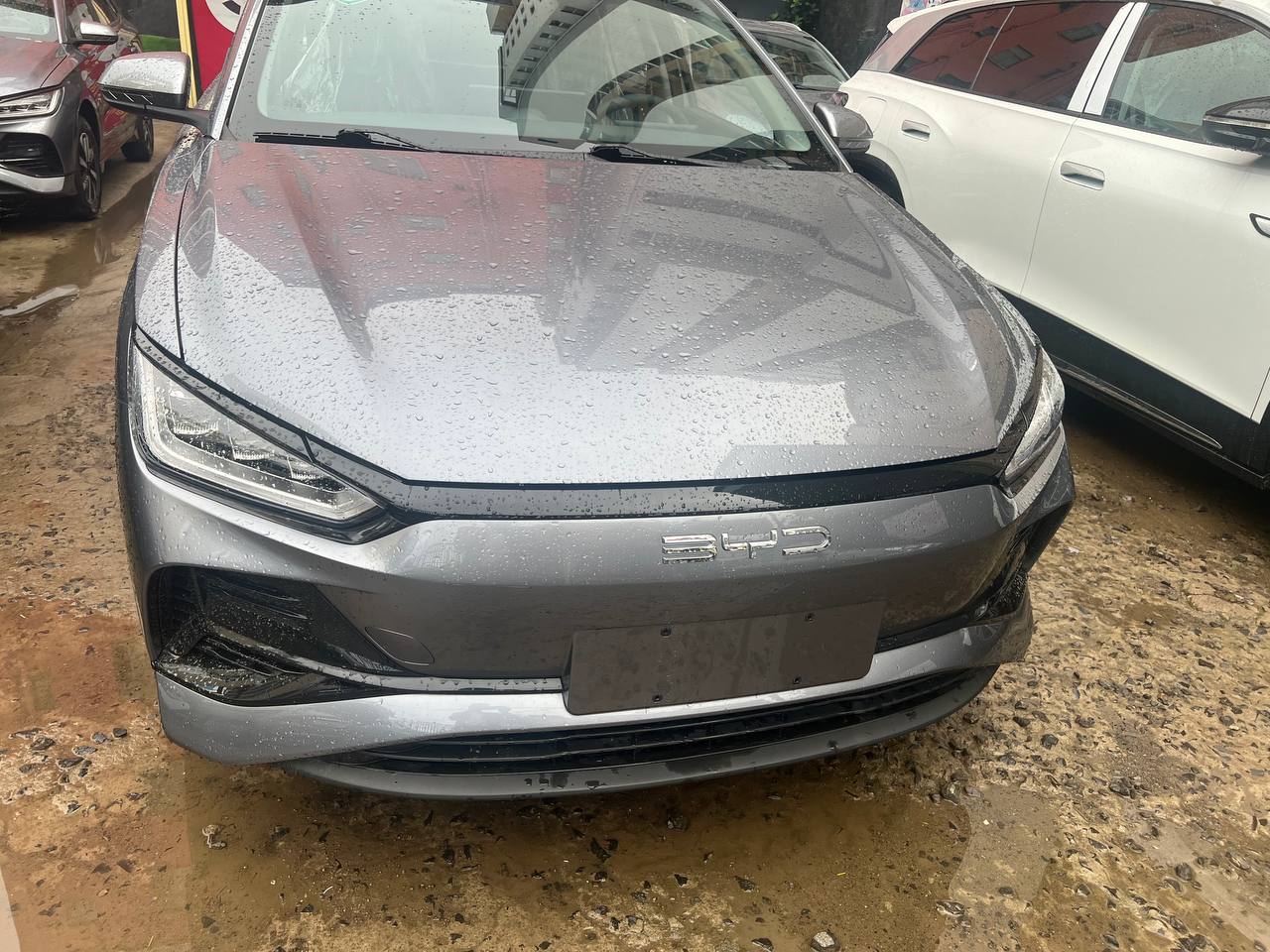 BYD 2024 - Image