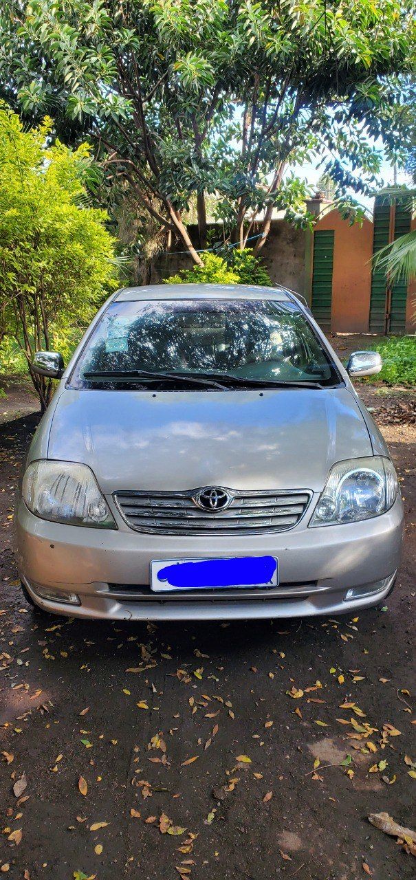 Toyota Corolla 2003